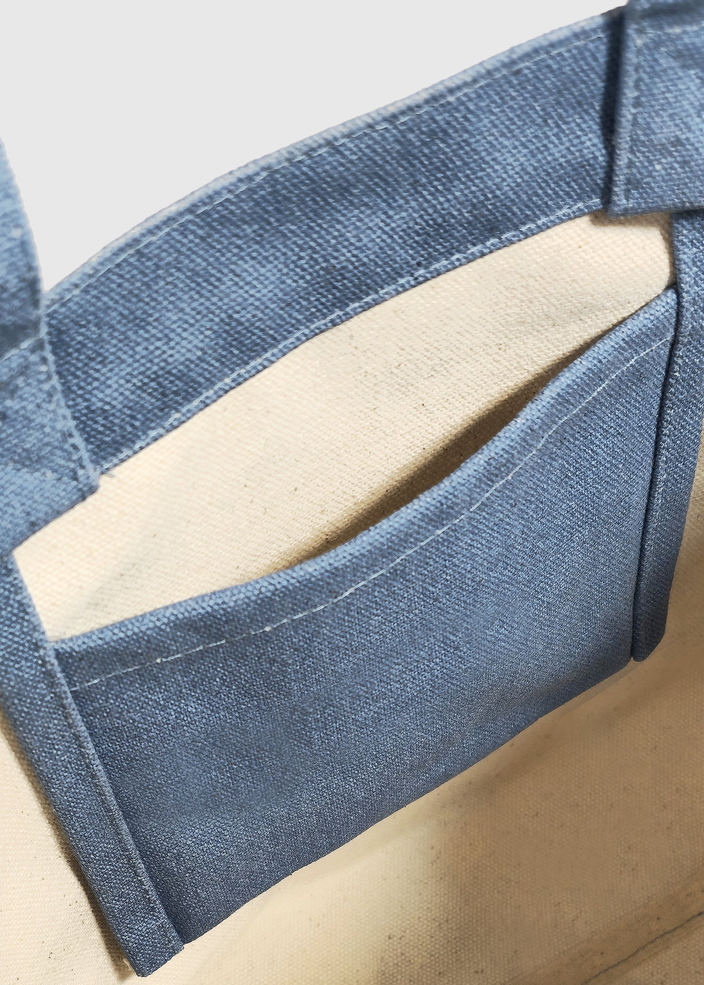 READING Cat Mini Tote