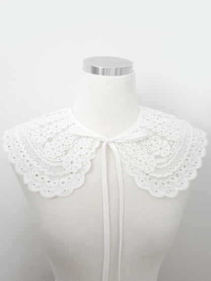 DAISY Collar