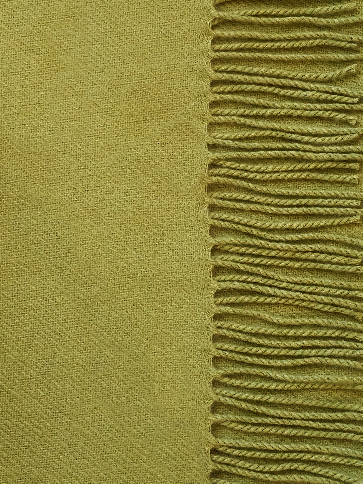 CONQUISTA Scarf